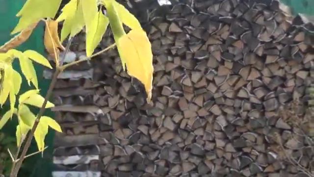 Касли в кадрах смотреть онлайн