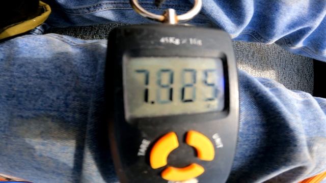 МОТОР ЯКОРЬ SEA-PRO 65L GPS, поможет ли прошивка увеличить МОЩЬНОСТЬ? смотреть онлайн