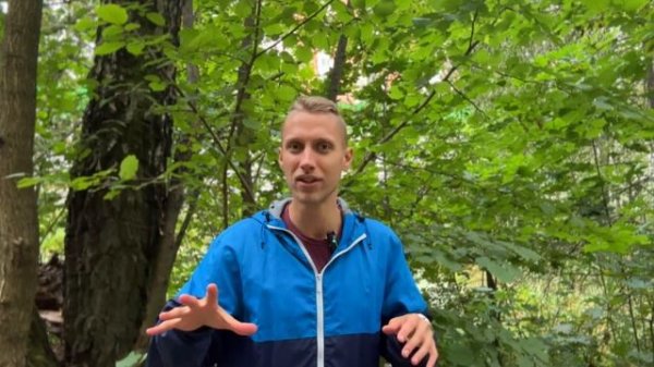 Осторожно, ПОДДЕЛКА МЕДА ! Как выбрать настоящий качественный мед ? Как определить качество меда ?