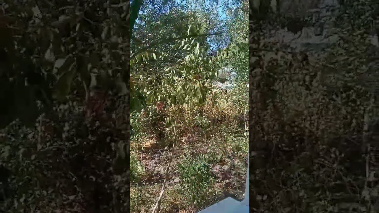 Ветер бушует смотреть онлайн