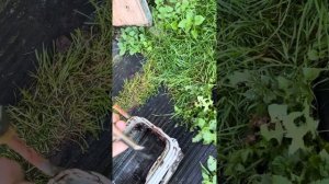 Устранение сложного засора теплообменника газовой колонки