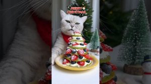 Chef Cat Cooking ：Christmas Compilation ! 4 Fruit Diy Recipes | Cat Cooking Food | Best Cat TikToks