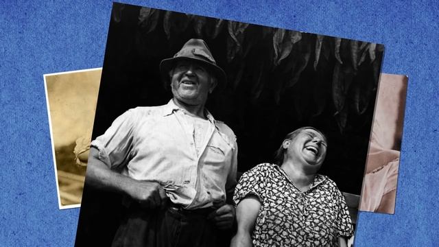 John Bowlby - Attachment Theory смотреть онлайн