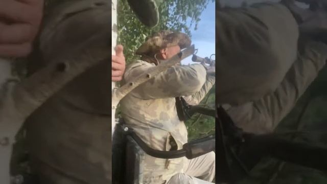 Лабаз для ценителей засидок! смотреть онлайн