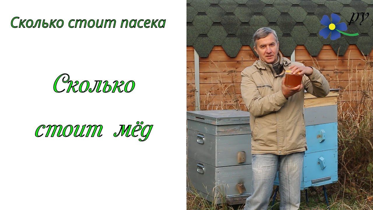 Сколько стоит мёд смотреть онлайн