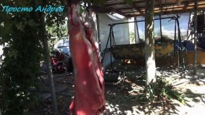 НУТРИЯ СКОЛЬКО НУЖНО КОРМИТЬ что бы получить мясо