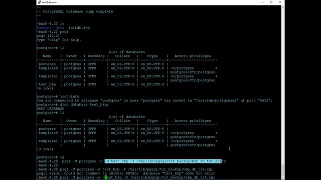 PostgreSQL Tutorial: Backup and Restore смотреть онлайн