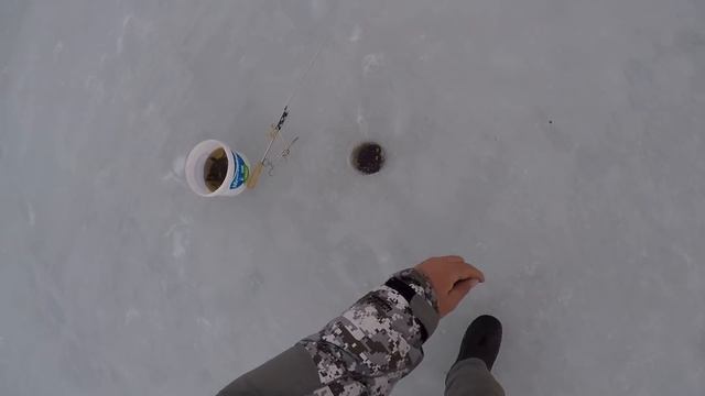 ПОСЛЕДНИЙ ЛЕД РЫБИНСКОЕ ВОДОХРАНИЛИЩЕ. ПОДВОДНЫЕ СЪЁМКИ смотреть онлайн