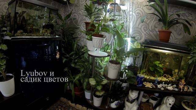 5000!!! Благодарственное послание моим подписчикам. смотреть онлайн