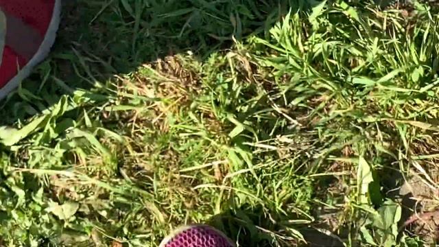 Рыбалка в Мантурово смотреть онлайн