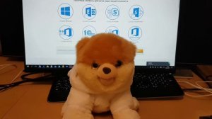 Облака - белогривые лошадки