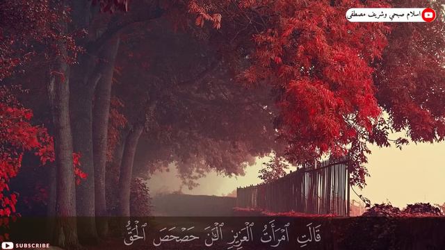 سورة يوسف ابداع و راحة للنفس لا توصف 💚 تلاوة عذبة 💚 ارح قلبك ❤️ смотреть онлайн