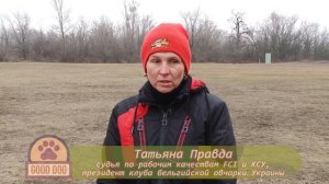 БЕЛЬГИЙСКАЯ овчарка Малинуа. О породе