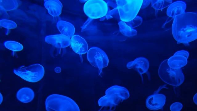 Нежный и крепкий СОН, Музыка для сна и восстановления сил. смотреть онлайн