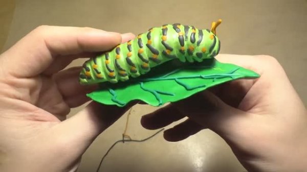 Гусеница Махаон. Sculpt the Machaon caterpillar. Гусеница из пластилина. Как слепить гусеницу.