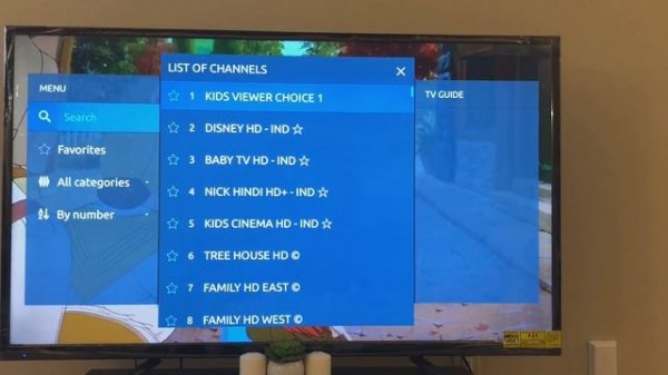 How to Setup IPTV on Apple TV using Stalker App (app reviewed)