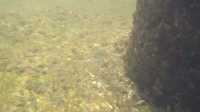 Sony HDR-GW77E (HDR-GW77V) under water смотреть онлайн