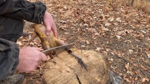 Охота на фазана и рецепт приготовления