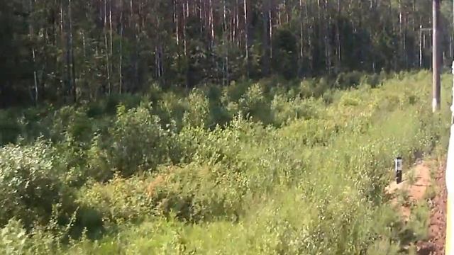 Невская Дубровка - Петрокрепость смотреть онлайн