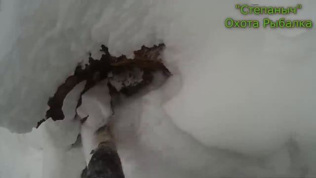9 заезд На один день Обход на лыжах Малый круг (1 часть) 01 12 18 смотреть онлайн