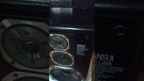 Колонки Sansui SP G88
