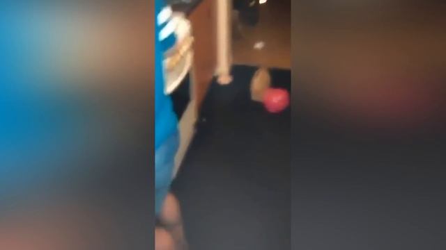 7 ПРИЗРАКОВ ЖИВОТНЫХ СНЯТЫХ НА КАМЕРУ смотреть онлайн