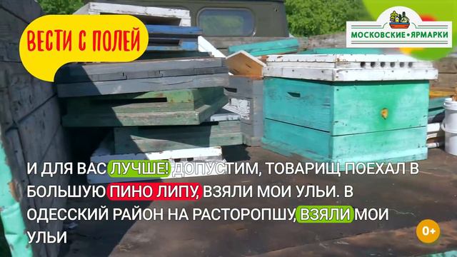 «Московские ярмарки»: мед из Омской области смотреть онлайн