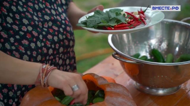Солим огурцы в тыкве по рецепту из Ярославской области. Вкусы России смотреть онлайн