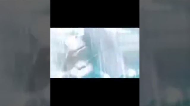 Holly Dolly - Dolly Song