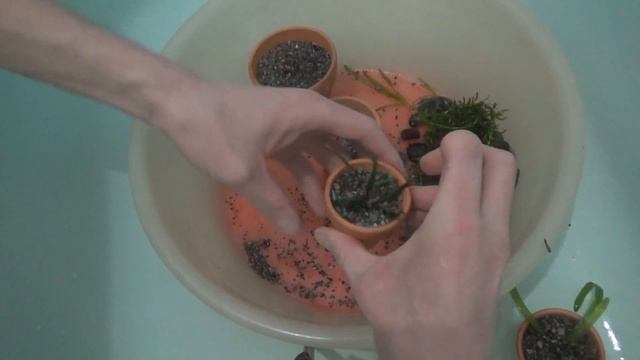 Water World #95 / Перемены в сорока литровом аквариуме смотреть онлайн