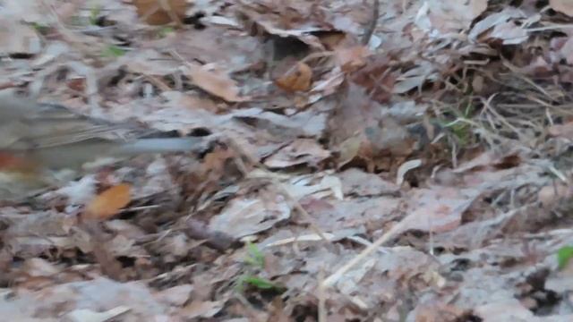 №2148 22 04 2022 Белобровик смотреть онлайн