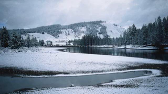 тонзилгон н смотреть онлайн