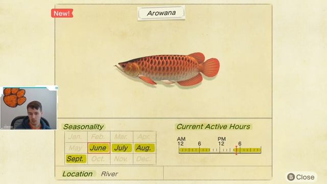 How to Catch an Arowana | Arowana ACNH | Arowana Animal Crossing New Horizons | ACNH Arowana смотреть онлайн