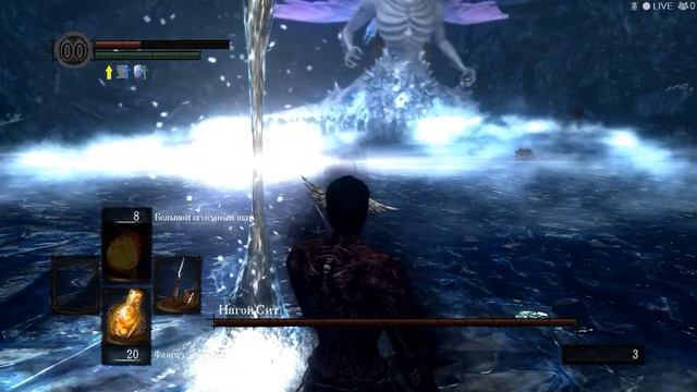 Dark Souls - Простой способ отрубить хвост Ситу (NG++) смотреть онлайн