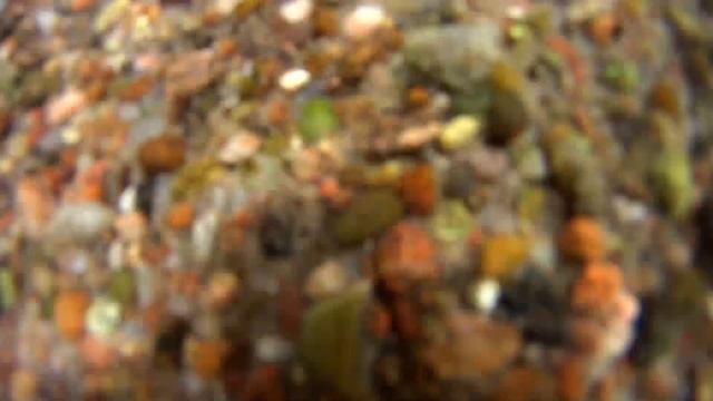 Родник ТАРТАКИ. Чистой воды источник. Барановичский район