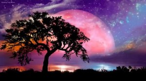 Расслабляющая музыка  10 часов мечтательной музыки для сна ?  музыка для прослушивания во время сна