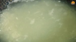 Рецепт вкусного фаршированного картофеля  Рахат-лукум с грецким орехом Азербайджанская Кухня
