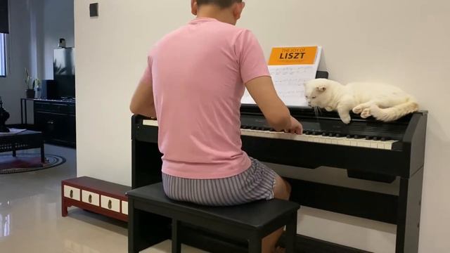 Home / 家 by Kit Chan / 陈洁仪 | Piano Cover | Casio PX-760 смотреть онлайн
