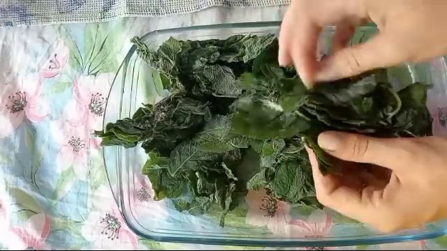 Ферментированный чай из листьев мяты. Как ферментировать мяту легко и просто. смотреть онлайн