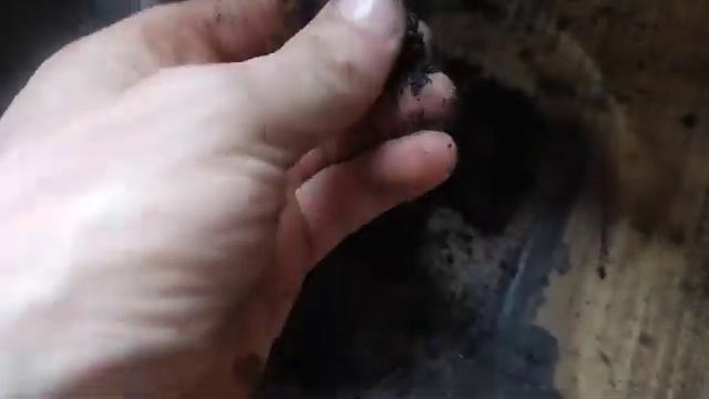 Чистка блока цилиндров ВАЗ 2109 смотреть онлайн