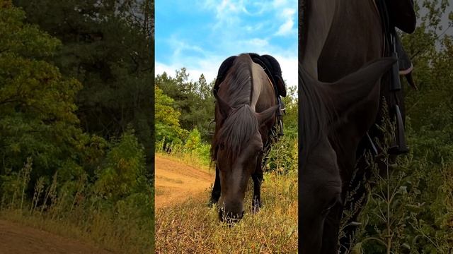 Лиля любит работать за еду #shorts