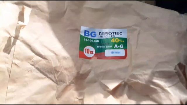 Сеем новинку кондитерского подсолнечника 2021 смотреть онлайн