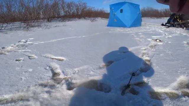 Отличный клёв хариуса на северной реке!!! смотреть онлайн