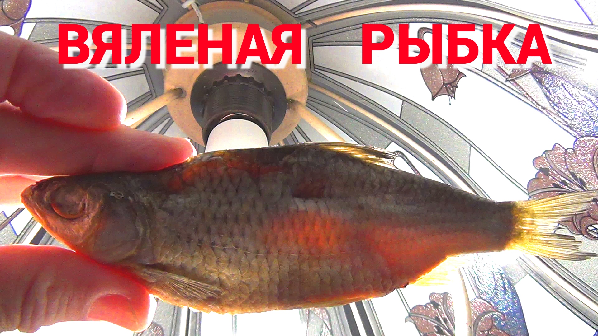 КАК ЗАСОЛИТЬ РЫБУ? ВКУСНАЯ ВЯЛЕНАЯ РЫБКА. Подробный рецепт. смотреть онлайн