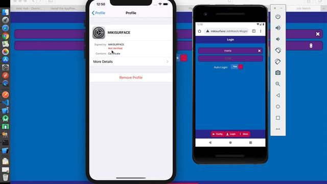 Self-Signed Certificate Handling with PWA vs Capacitor/Cordova on Android and IOS смотреть онлайн