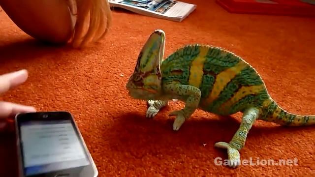 Хамелеон испугался iPhone - что он там увидел ?! ๏̯͡๏ смотреть онлайн