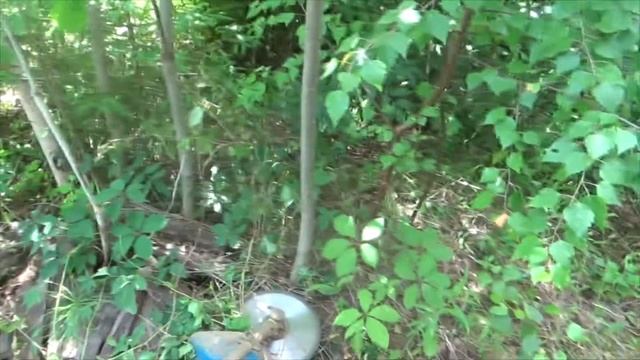 Триммер - убийца деревьев. смотреть онлайн