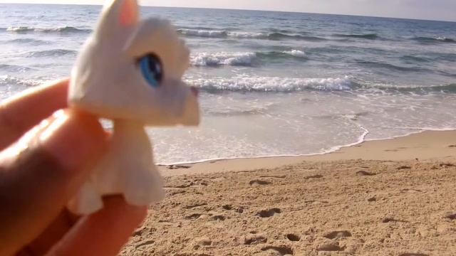 lps: at the beach смотреть онлайн
