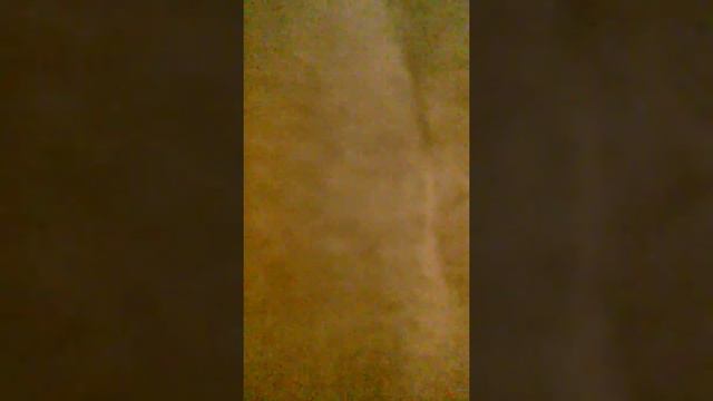 Cort Yorktown jazzguitar on Behringer Vamp 1200/ 4x12 смотреть онлайн