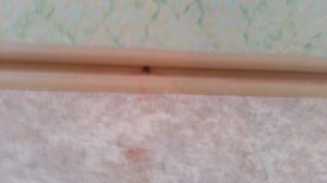 Как быстро снять пластиковый плинтус от стены и пола